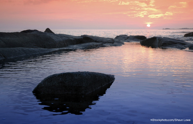 istock_000000833823large.jpg